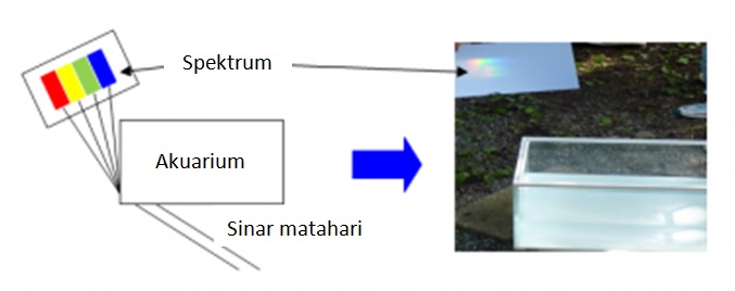 Gambar 2. Percobaan spektrum warna dengan menggunakan akuarium.