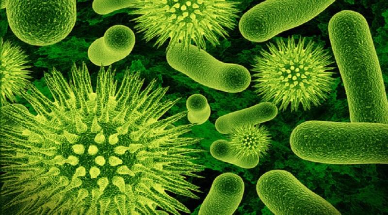 Model Matematika Pertumbuhan Bakteri pada Makanan