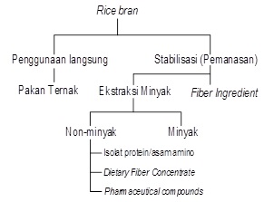 Pohon industri pemanfaatan bekatul (Modifikasi dari Cosmetic Ingredient Review Expert Panel, 2006)