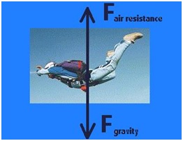 Gaya gesek dan gaya gravitasi pada penerjun payung.