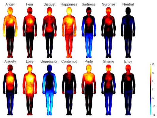 Sampel peta tubuh yang menunjukkan peningkatan sensasi emosi tertentu dapat ditunjukkan dengan rentang warna citra diri berdasarkan pada hasil evaluasi pribadi masing-masing subjek (penelitian Nummenmaa dkk. 2013). Perlu diperhatikan bahwa suhu tubuh hanya merupakan salah satu indikator saja dalam penelitian tersebut.