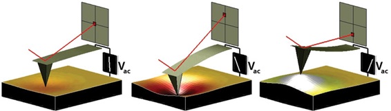 Gambar 1: Prinsip dasar kerja PFM yang bergantung pada arah dan besar medan listrik yang diberikan pada suatu material yang mengandung sifat feroelektrik. Sumber gambar: http://www.asylumresearch.com 
