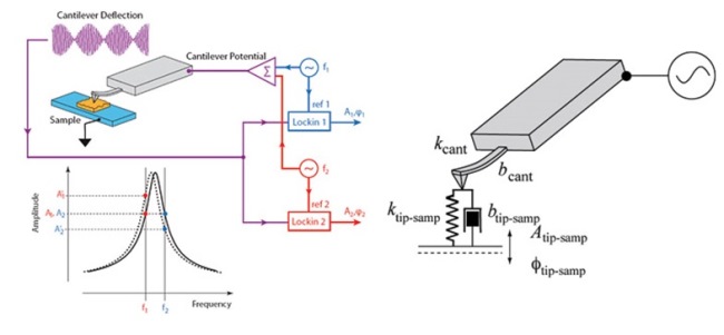 Gambar 2: Cara kerja PFM yang digunakan untuk menganalisis piezoresponse yang dihasilkan dari material feroelektrik. Sumber gambar: http://www.asylumresearch.com