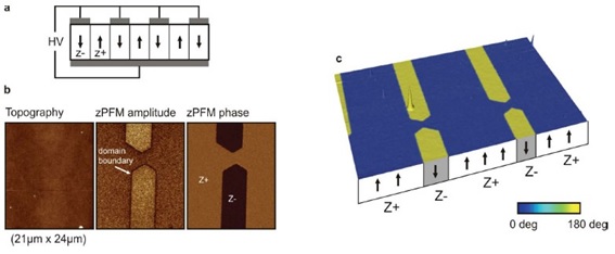 Gambar 3: Contoh citra hasil analisis PFM dari material LiNbO3 single crystal. Sumber gambar: http://www.jpk.com