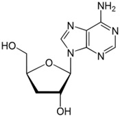 Struktur Kimia Cordycepin.