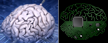 Otak manusia vs prosesor komputer.