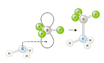 Ilustrasi sifat asam Lewis atom boron (B) yang ditandai dengan adanya orbital kosong.