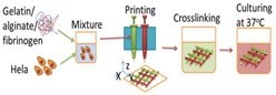 Mekanisme Bioprinting.
