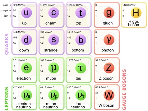 “Tabel periodik” partikel-partikel elementar dalam model standar. Quark adalah partikel elementer penyusun hadron (proton, neutron, dkk.) dan sulit untuk berdiri sendiri, sementara lepton adalah partikel elementer yang bisa berdiri sendiri tanpa membentuk partikel yang lebih besar. Gauge boson adalah partikel pembawa interaksi, sedangkan Higgs boson adalah partikel yang bertanggung jawab dalam pembentukan massa. Sumber gambar: Wikipedia.