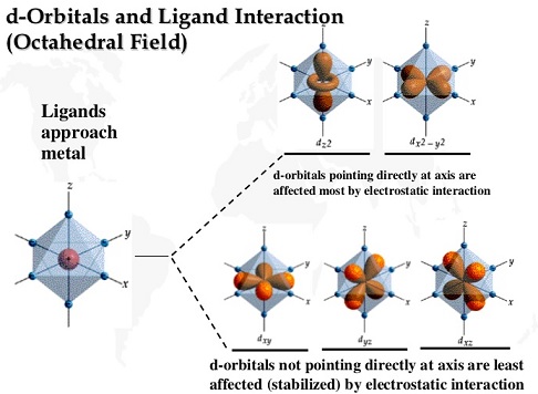 Pembagian orbital d menjadi kelompok eg (2 subkulit atas) dan t2g (3 subkulit bawah). Gambar dari slideshare.net.