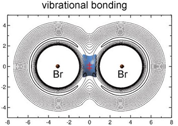 Ikatan vibrasi BrMuBr. Gambar dari penelitian Fleming dkk.