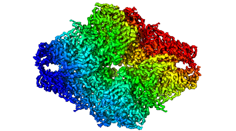 Nobel Kimia 2017: Revolusi Pencitraan Biomolekul