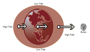 Pasang surut air laut dapat dipengaruhi oleh gravitasi