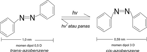 Gambar 1. Struktur umum molekul azobenzene. 