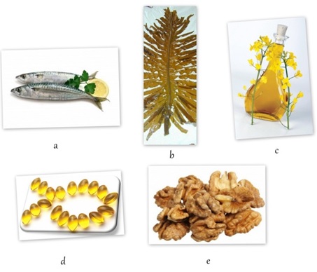 Gambar 2. Beberapa jenis sumber asam lemak tak jenuh (PUFAs), (a) ikan, (b) rumput laut, (c) minyak kanola, (d) minyak ikan, (e) walnut.