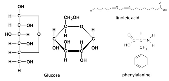 Struktur Kimia Metabolit Primer: Karbohidrat (contohnya Glukosa), Asam Lemak (contohnya Asam Linoleat) , Asam Amino Penyusun Protein  (contohnya Phenylalanin).