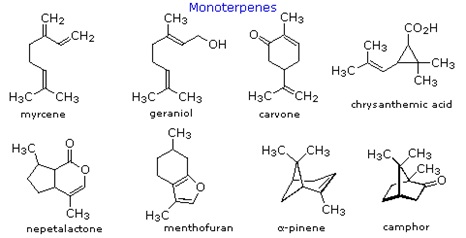Struktur kimia beberapa senyawa terpenoid.
