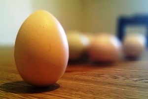 Mitos Telur Berdiri