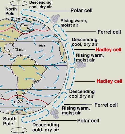 Pola sirkulasi udara secara global.