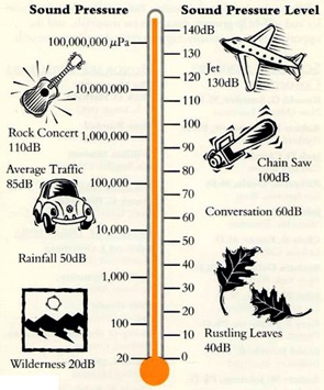 Skala desibel yang dihasilkan oleh beberapa contoh sumber suara. Gambar dari: http://www.hearos.com/